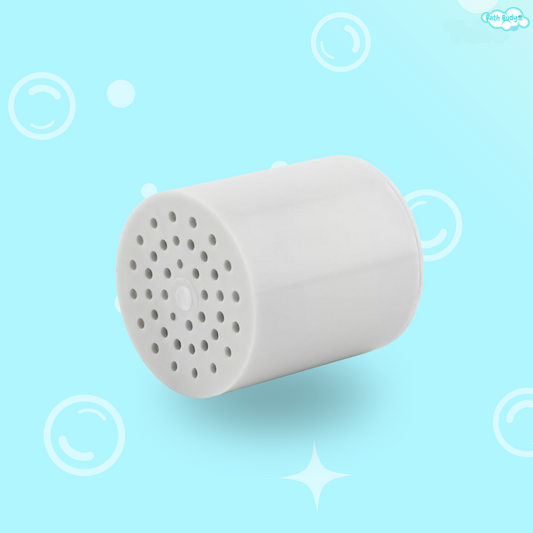 Replacement Shower Filter